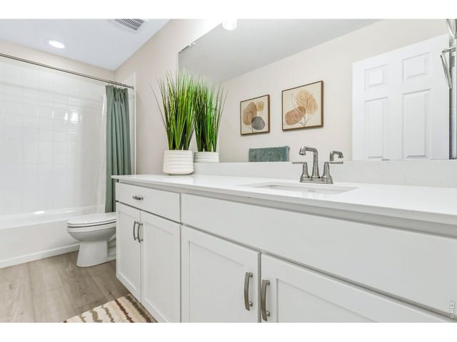955 Rustling St, Windsor, CO 80550