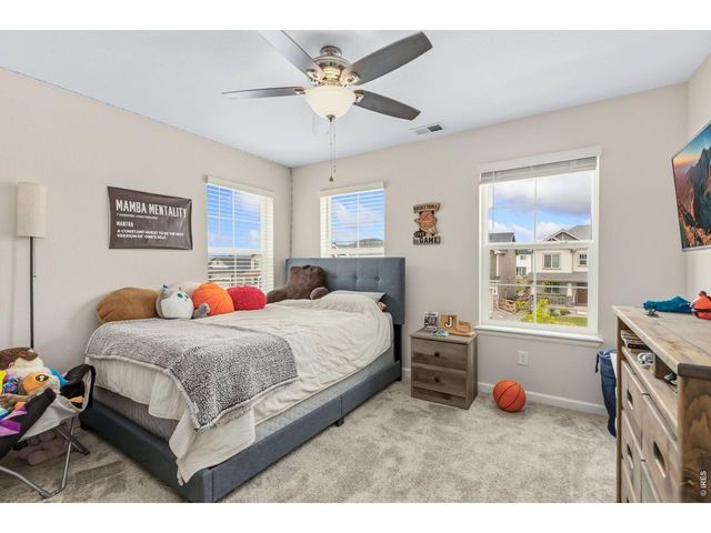 955 Rustling St, Windsor, CO 80550