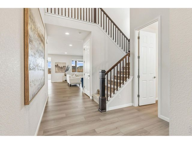 955 Rustling St, Windsor, CO 80550