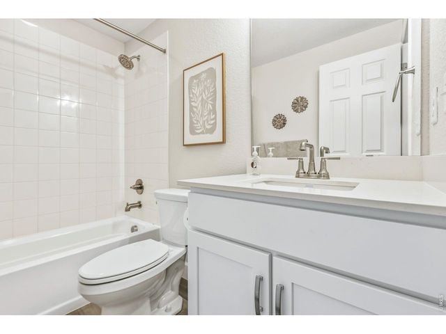 955 Rustling St, Windsor, CO 80550
