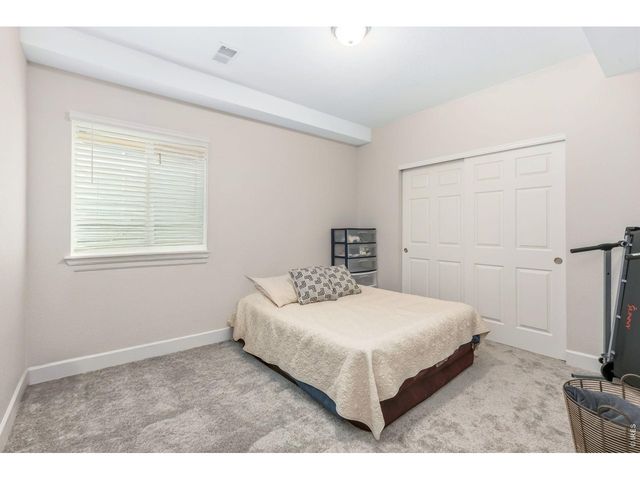 955 Rustling St, Windsor, CO 80550