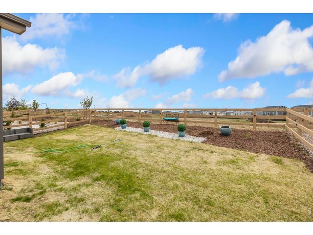 955 Rustling St, Windsor, CO 80550