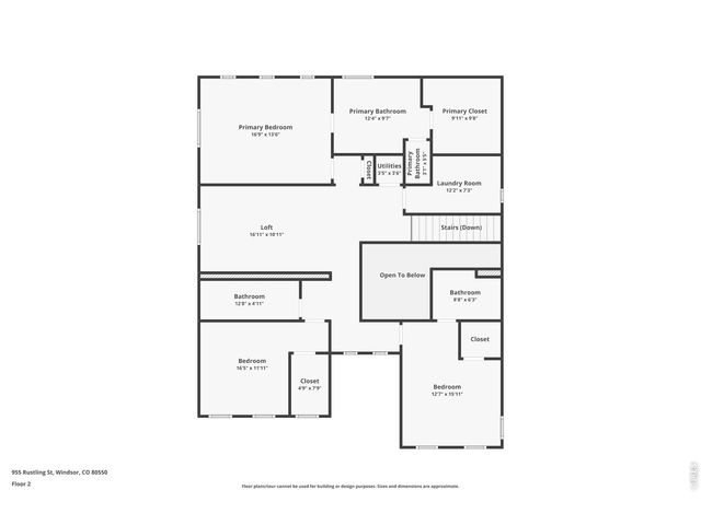 955 Rustling St, Windsor, CO 80550