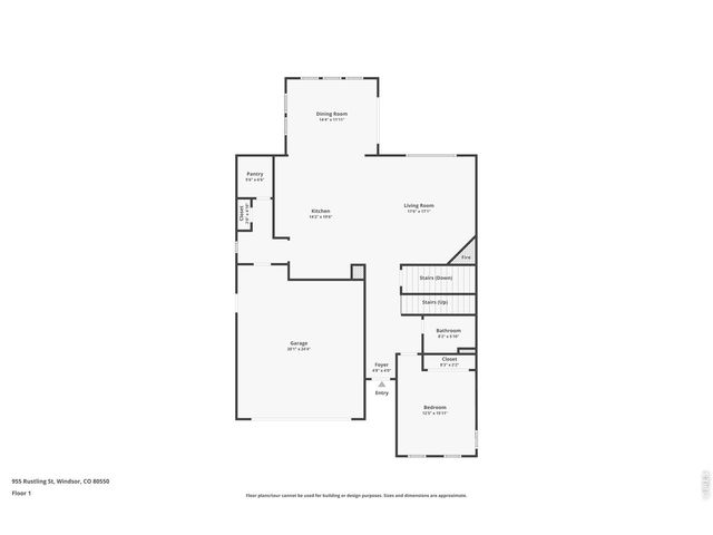 955 Rustling St, Windsor, CO 80550