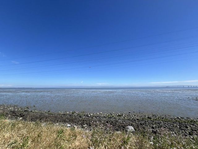 3 Bay Landing, San Mateo, CA 94401