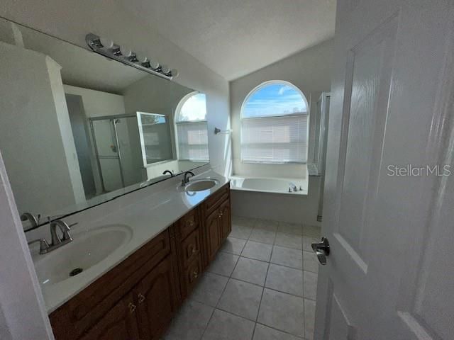 233 VIA DEL SOL DRIVE, Davenport, FL 33896