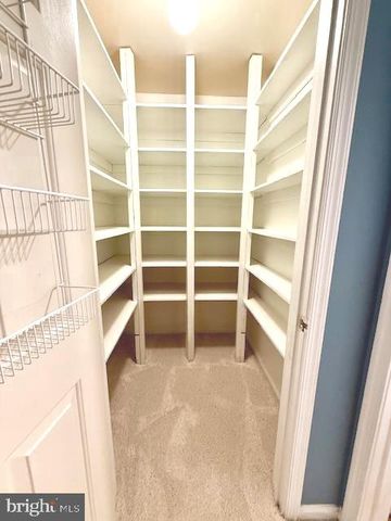 2510 PAINTER CT, Annapolis, MD 21401