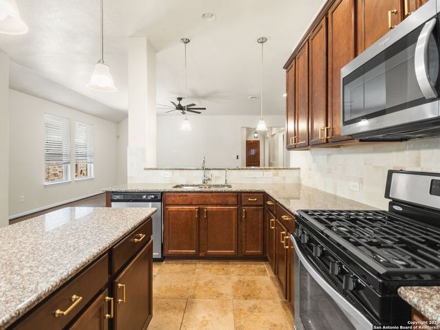 22611 Carriage Bush, San Antonio, TX 78261