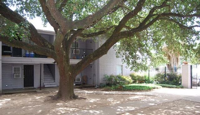 6225 Tierwester Street 09, Houston, TX 77021