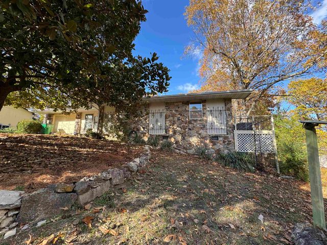 306 Amethyst Lane, Horseshoe Bend, AR 72512