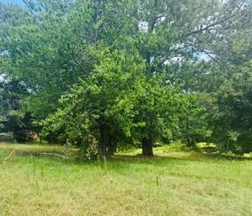 3283 N Bogan Road, Buford, GA 30519