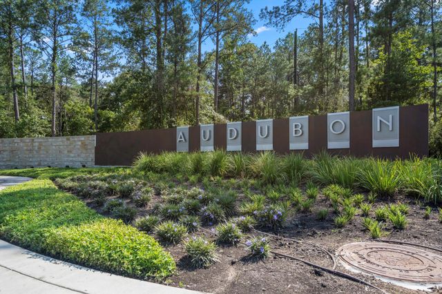 176 Shoveler Duck Way, Magnolia, TX 77354