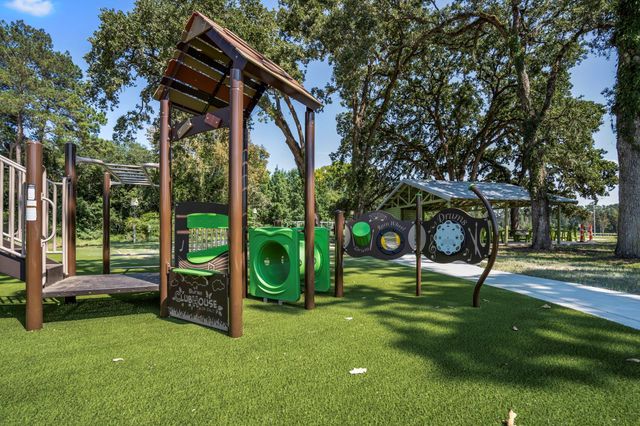 176 Shoveler Duck Way, Magnolia, TX 77354