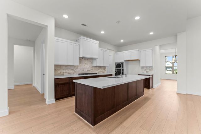 176 Shoveler Duck Way, Magnolia, TX 77354