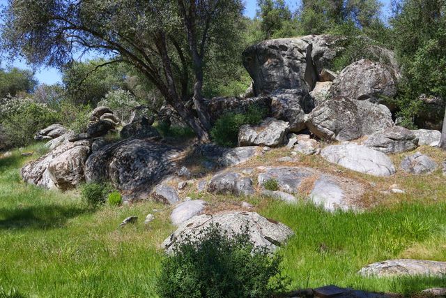 4907 Daffodil, Mariposa, CA 95338