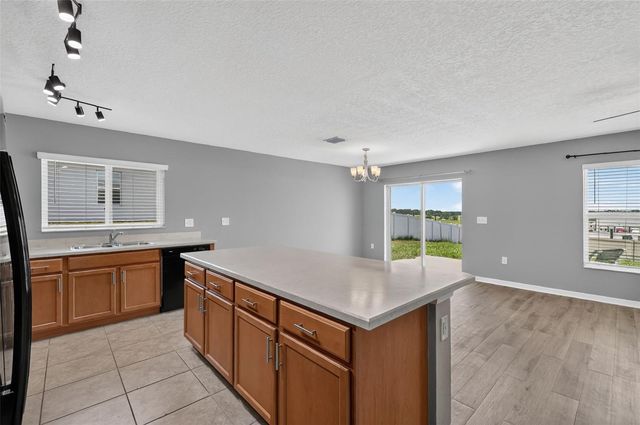 2465 BEGONIA STREET, Mascotte, FL 34753