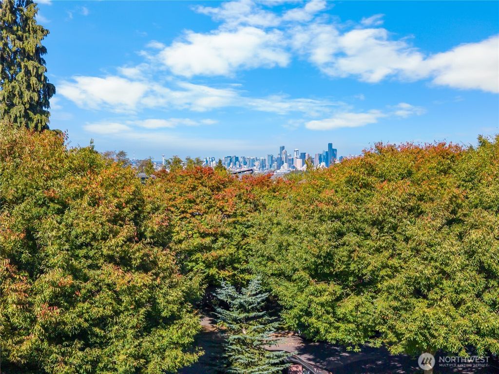 3133 SW Raymond Street, Seattle, WA 98126