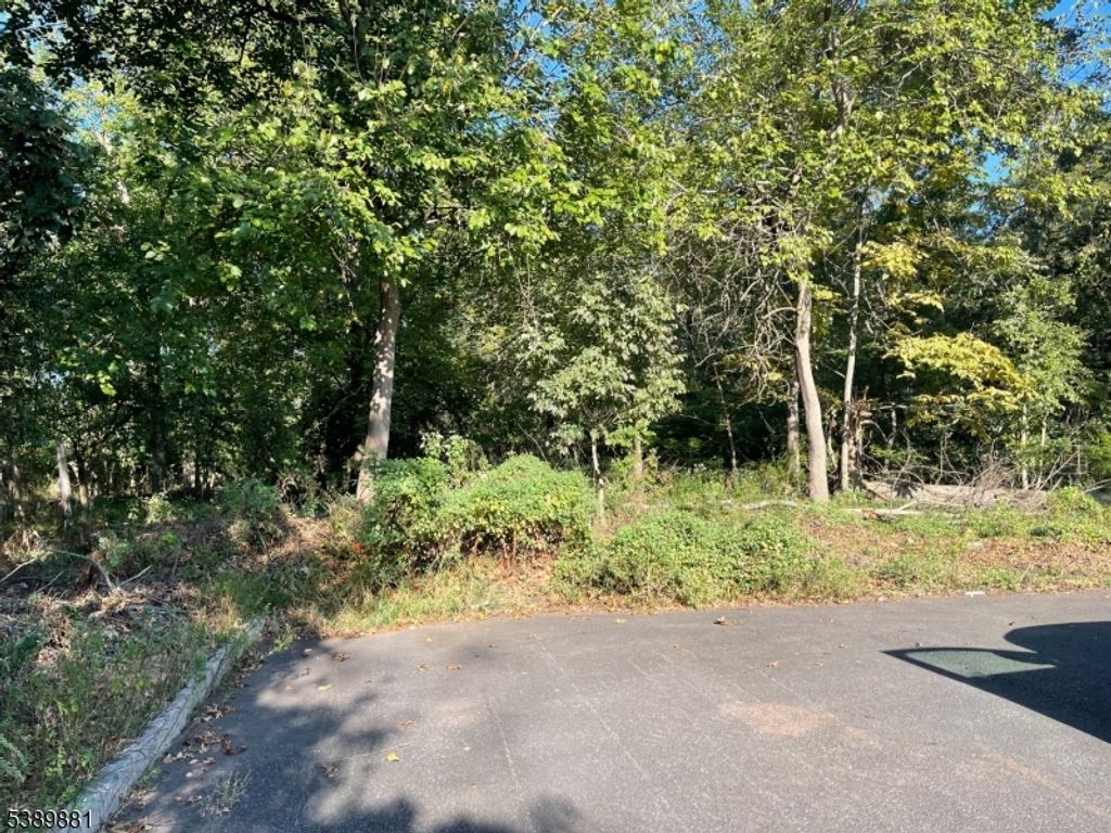 76 Woodland Rd, Piscataway Twp., NJ 08854 — exterior