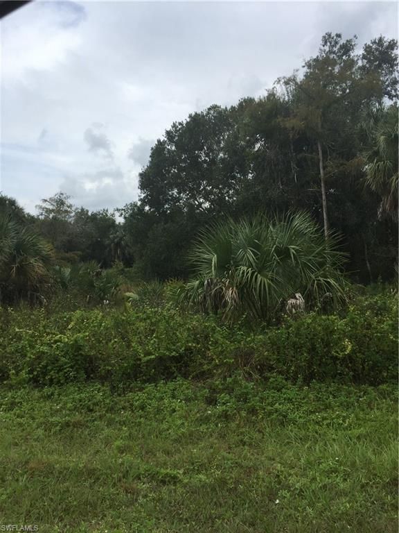 tbd 22nd st ne, NAPLES, FL 34120 — photo 2