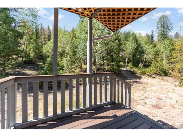 9790 S Warhawk Rd, Conifer, CO 80433