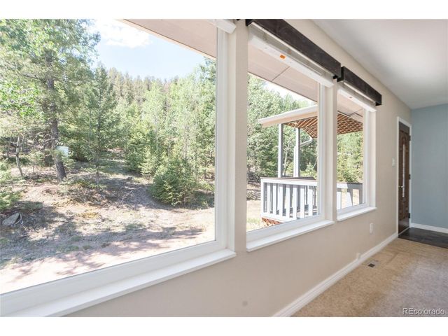 9790 S Warhawk Rd, Conifer, CO 80433