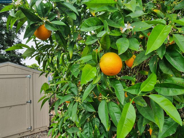 1260 Apple Drive, Concord, CA 94518