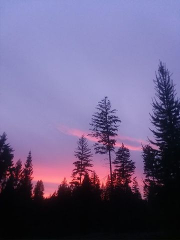 872 McGowen Rd, Newport, WA 99156