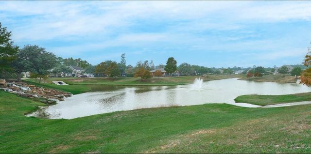 24511 Emerald Pool Falls Drive, Tomball, TX 77375