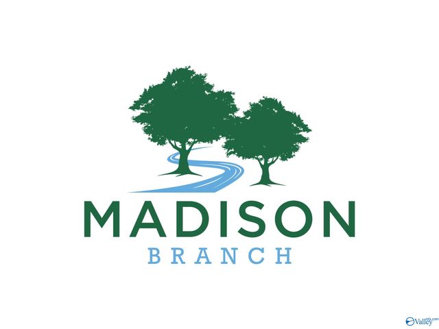 106 Stenness Branch, Madison, AL 35756
