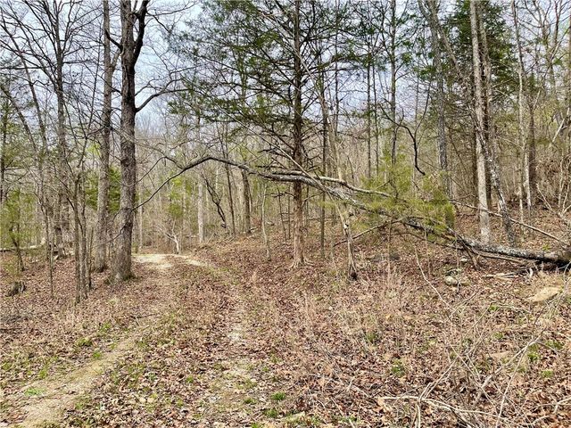 TBD Madison 5205, Elkins, AR 72727