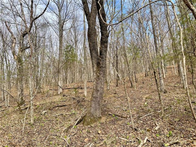 TBD Madison 5205, Elkins, AR 72727