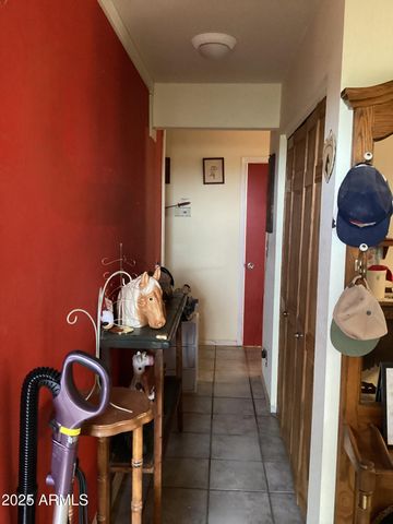 6265 W COPPER BUG Road, Elfrida, AZ 85610