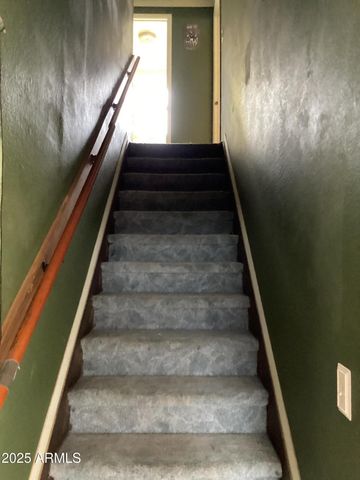 6265 W COPPER BUG Road, Elfrida, AZ 85610