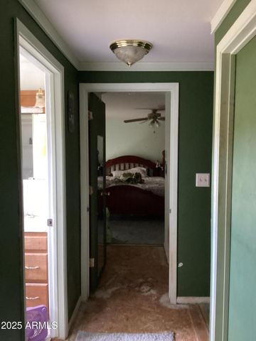 6265 W COPPER BUG Road, Elfrida, AZ 85610