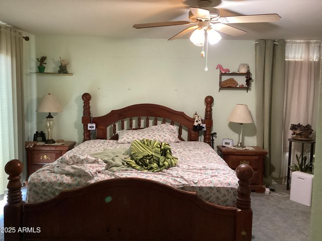 6265 W COPPER BUG Road, Elfrida, AZ 85610