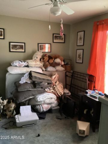 6265 W COPPER BUG Road, Elfrida, AZ 85610