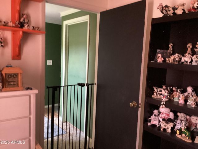 6265 W COPPER BUG Road, Elfrida, AZ 85610