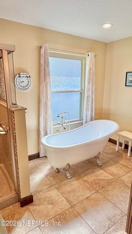 236 JESSIE LEE Court, Green Cove Springs, FL 32043