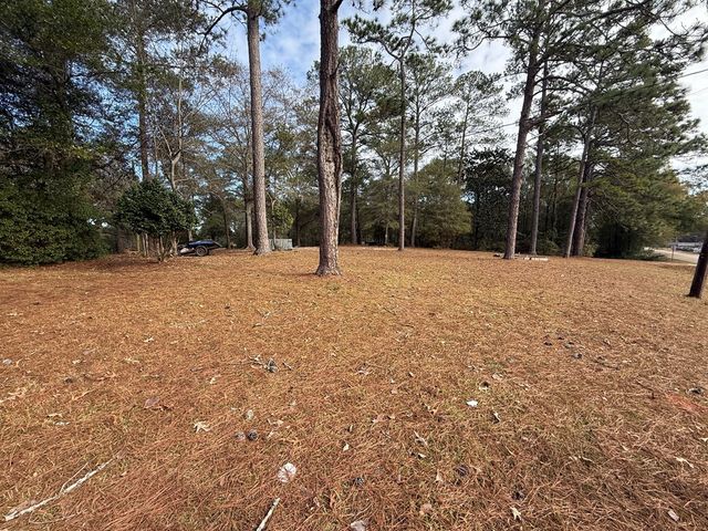 2169 Will Logan Rd, Ozark, AL 36360