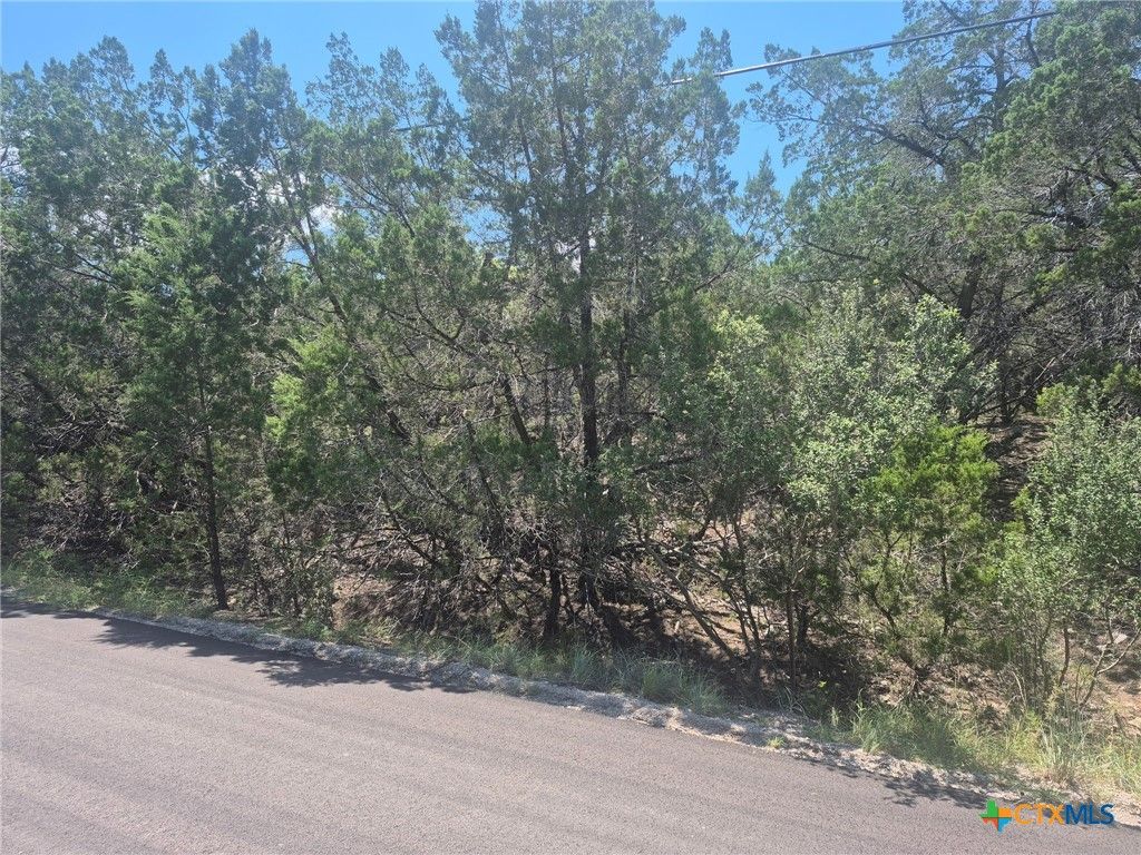3602 Stillwood Lane, Lago Vista, TX 78645