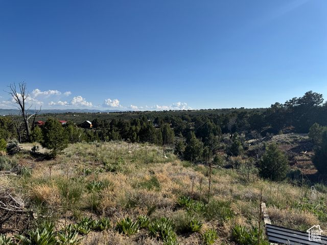 46205 W LITTLE ELK RD, Fruitland, UT 84027