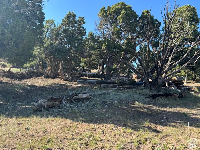 46205 W LITTLE ELK RD, Fruitland, UT 84027