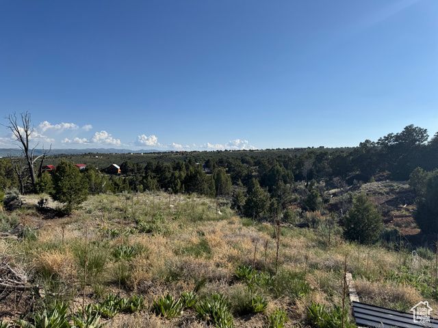 46205 W LITTLE ELK RD, Fruitland, UT 84027