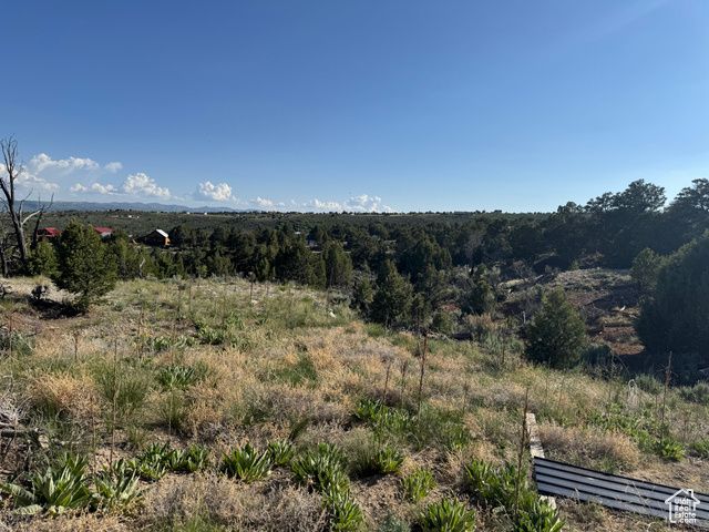 46205 W LITTLE ELK RD, Fruitland, UT 84027