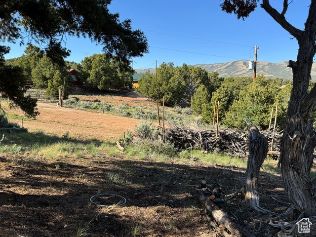 46205 W LITTLE ELK RD, Fruitland, UT 84027