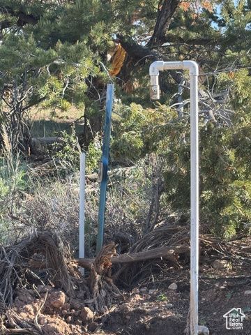 46205 W LITTLE ELK RD, Fruitland, UT 84027