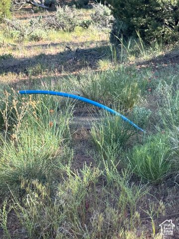 46205 W LITTLE ELK RD, Fruitland, UT 84027