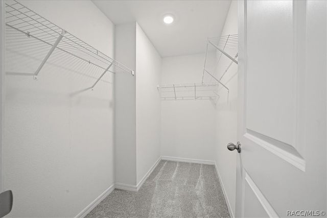 8471 Clearway Drive, Wildwood, FL 34785