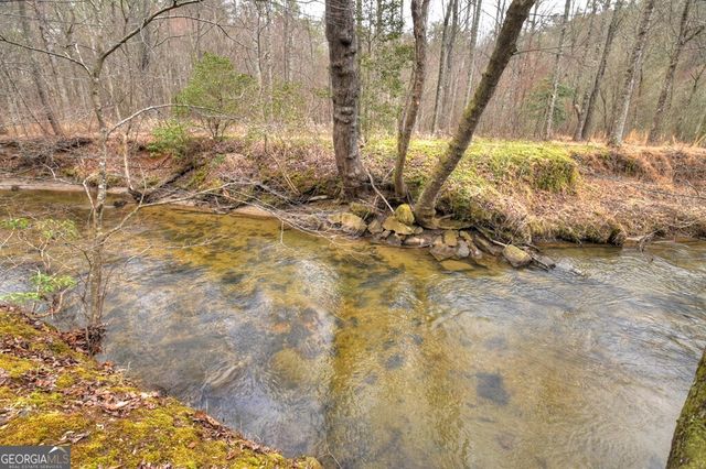 1175 Lickskillet Circle, Epworth, GA 30541