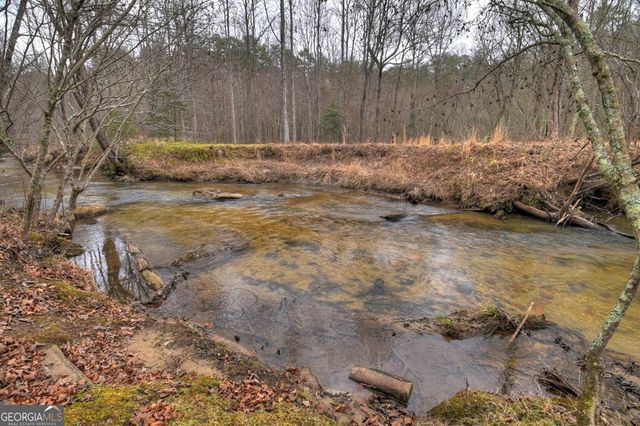 1175 Lickskillet Circle, Epworth, GA 30541